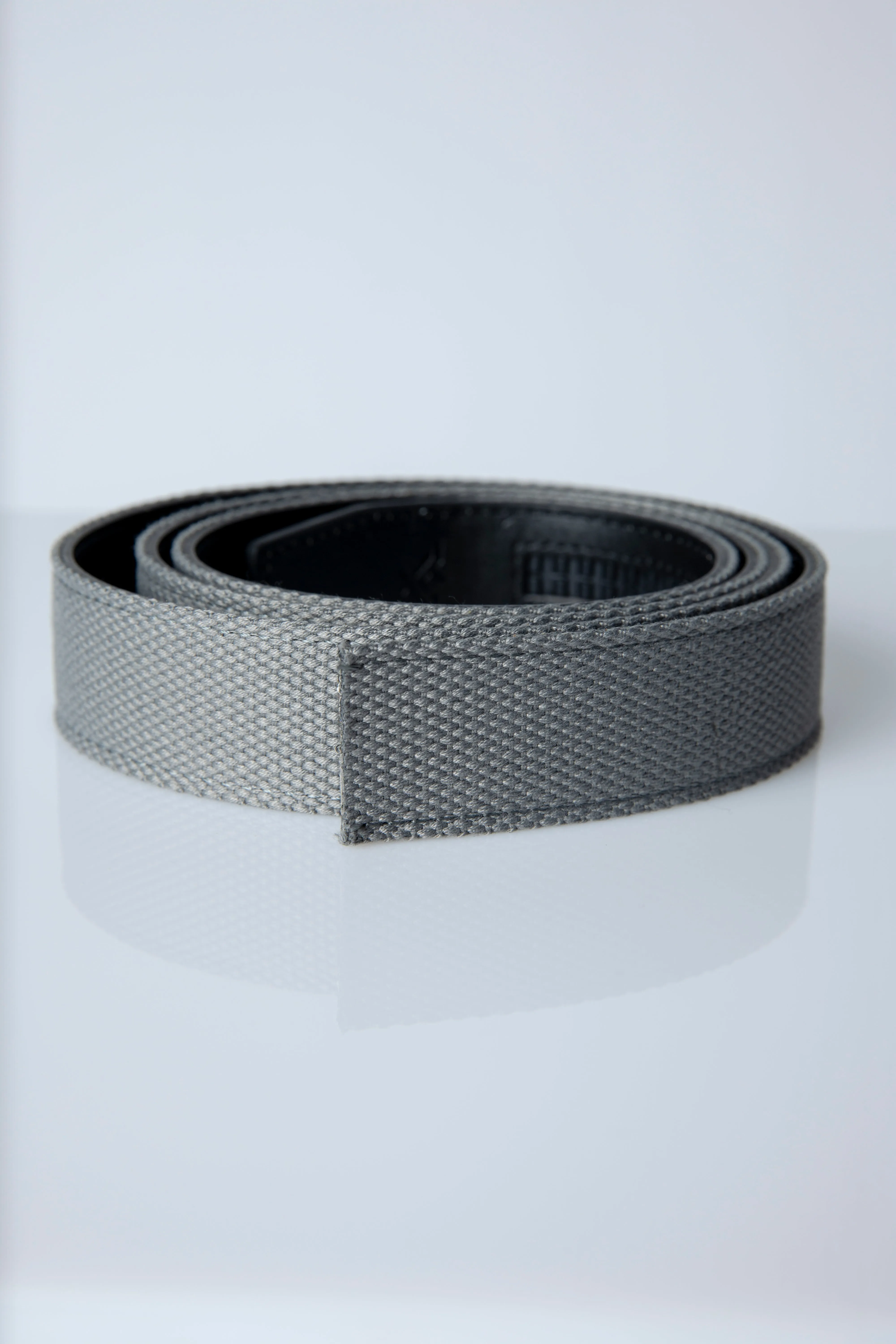 Canvas Heralding Lion Belt