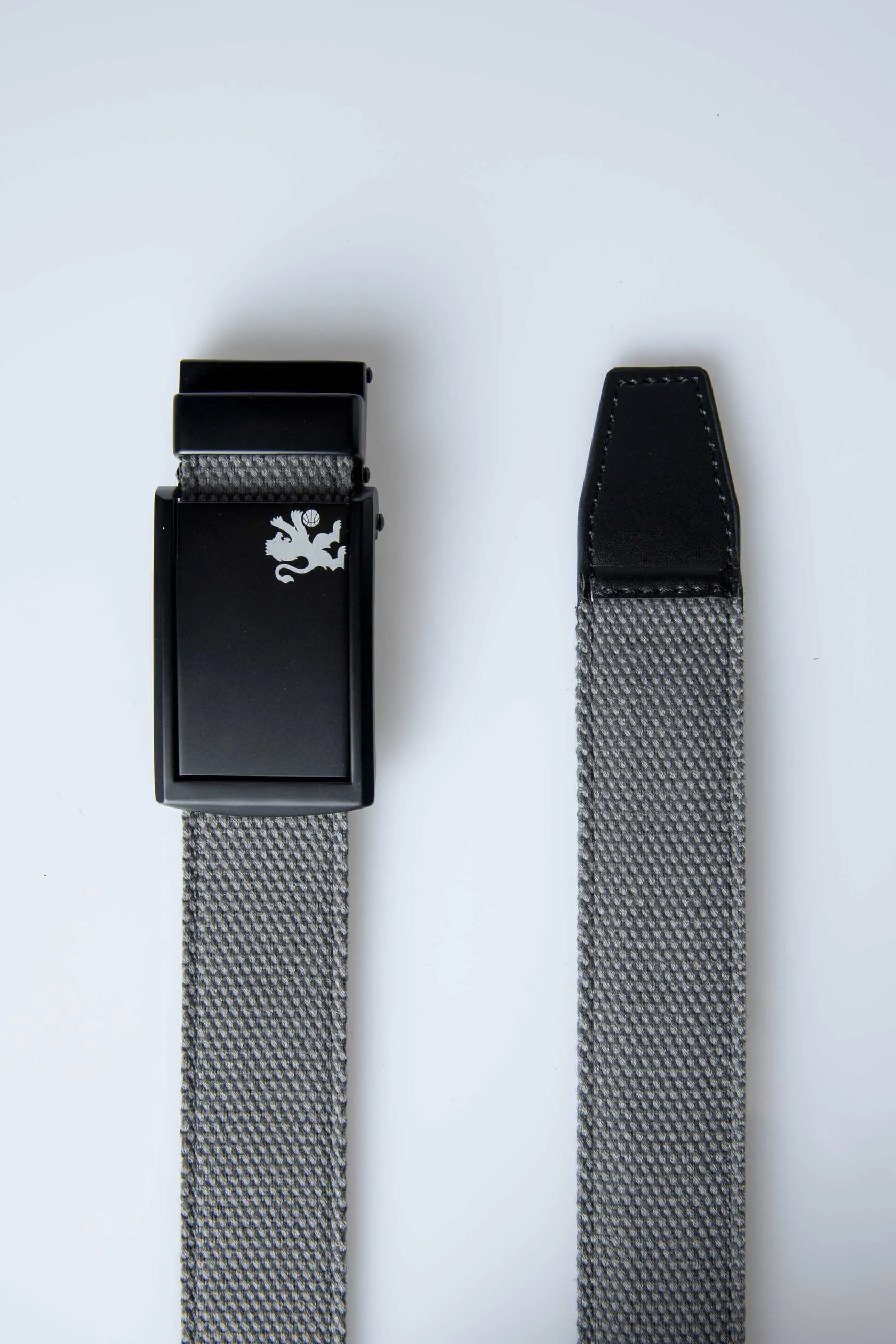 Canvas Heralding Lion Belt