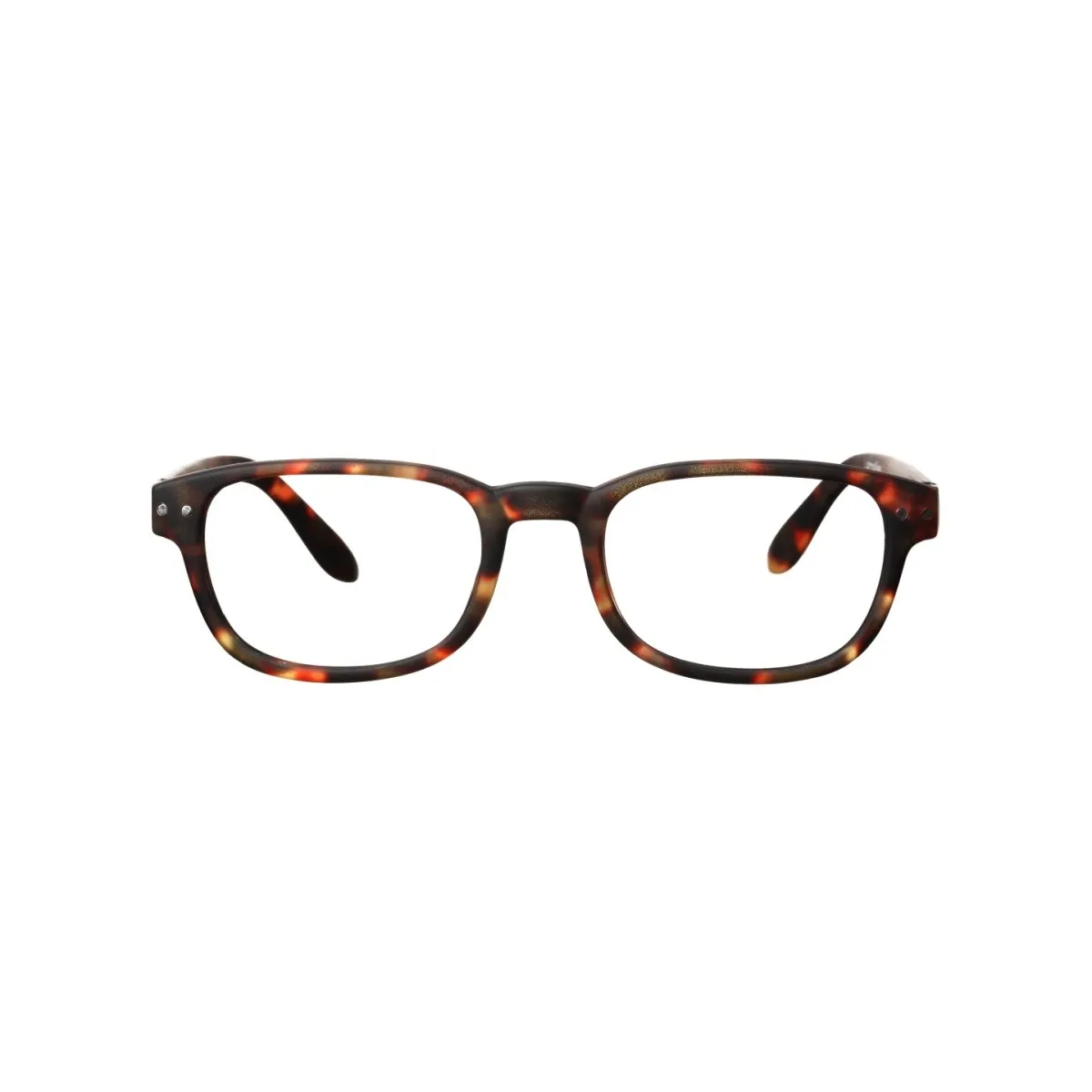 IZIPIZI Reading Shape #B  1 Tortoise
